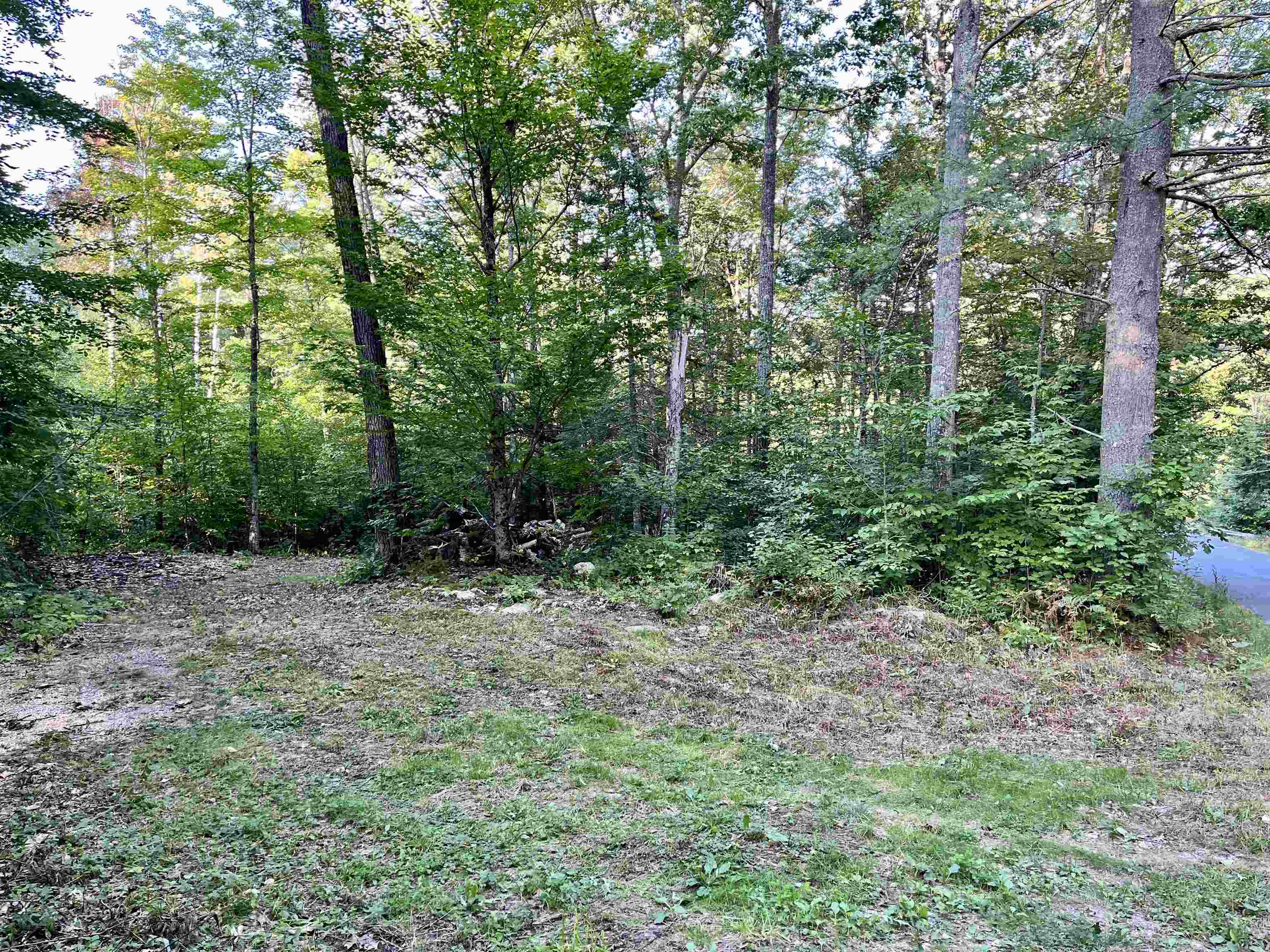 0 Bowman Road Springfield, NH 03284 - Photo 1 of 4 Gallery Image 1