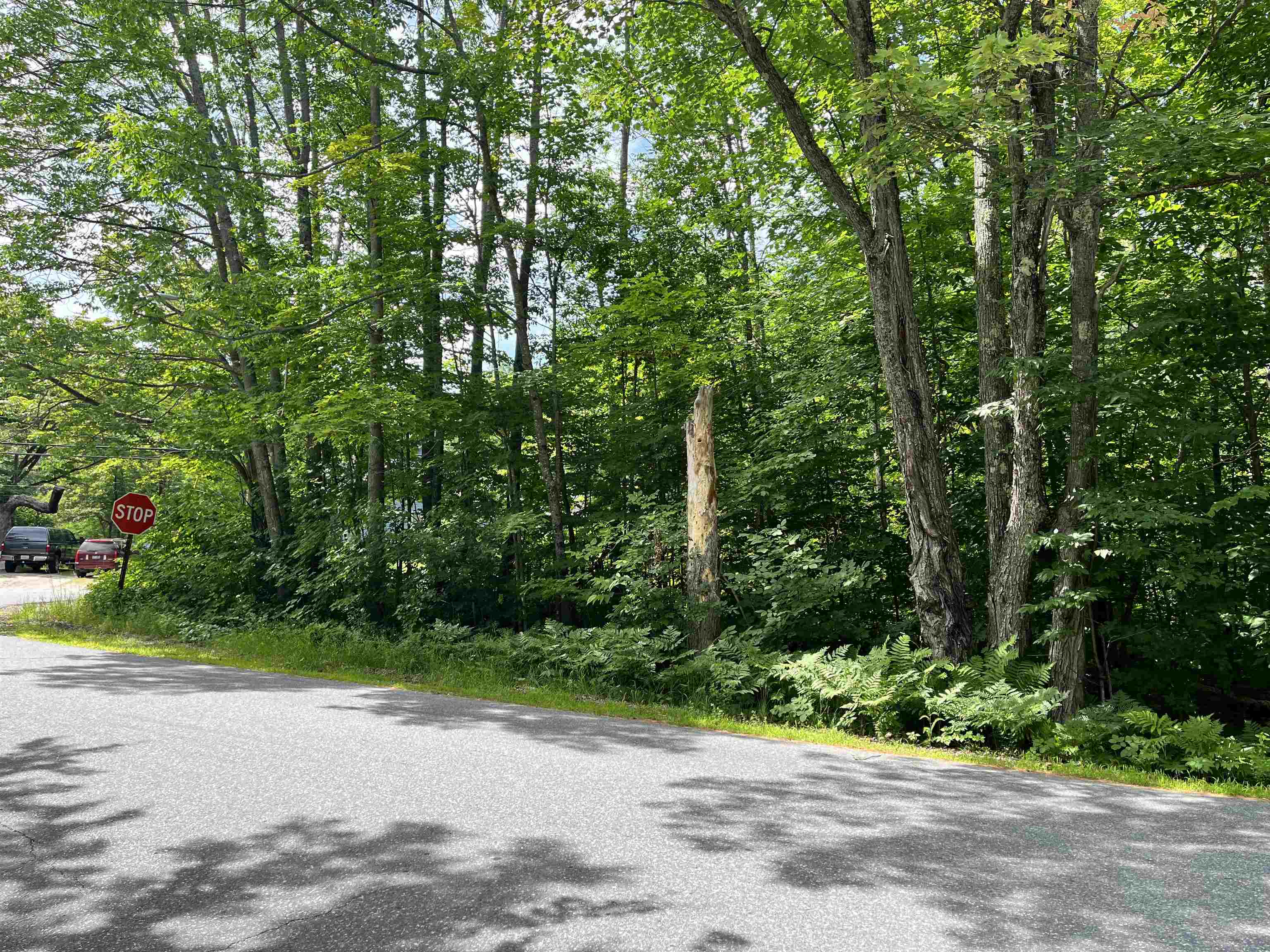 0 Bowman Road Springfield, NH 03284 - Photo 3 of 4 Gallery Image 3