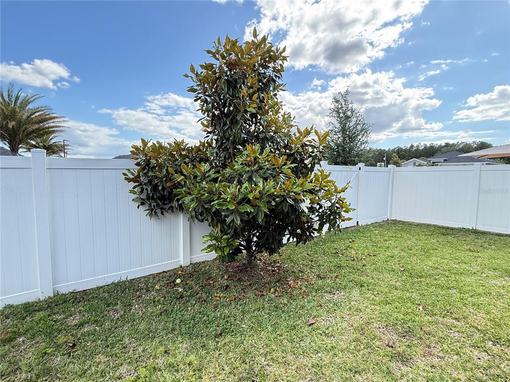 7656 Southwest 74th Loop Ocala, FL 34474 - Photo 84 of 95 a view of a yard with an tree and plants