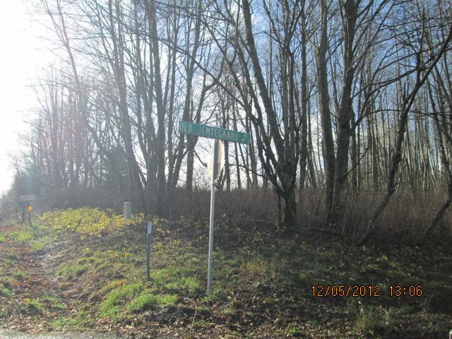 Belle Center Road, Unit 1 Washougal, WA 98671 - Photo 7 of 7 Gallery Image 7