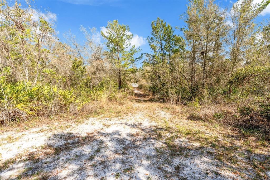 326 Enterprise Osteen Road Osteen, FL 32764 - Photo 31 of 34