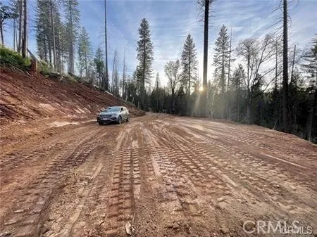 a view of a yard with trees in the background