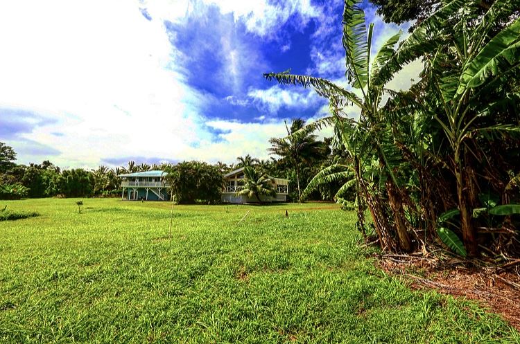 1001 Kauhikoa Road Haiku, HI 96708 - Photo 1 of 30 a view of a field with a tree