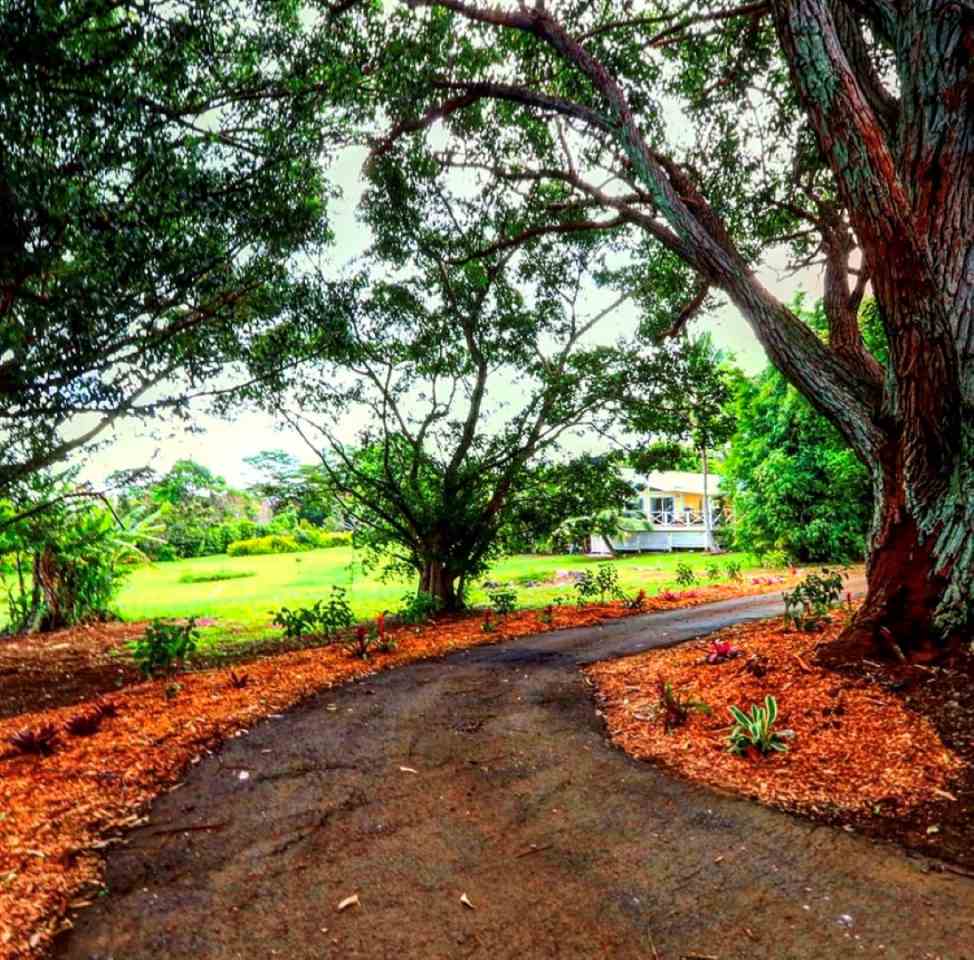 1001 Kauhikoa Road Haiku, HI 96708 - Photo 2 of 30
