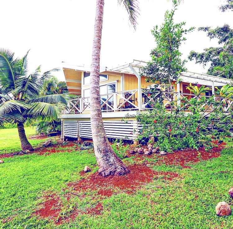 1001 Kauhikoa Road Haiku, HI 96708 - Photo 4 of 30 a view of a house with a big yard and potted plants