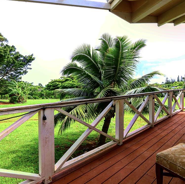 1001 Kauhikoa Road Haiku, HI 96708 - Photo 5 of 30 a view of park from a balcony