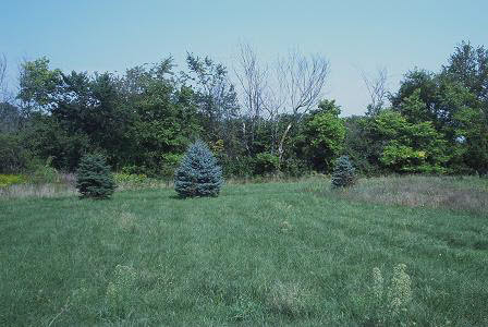 3998 East Whitaker Road Byron, IL 61010 - Photo 4 of 6 a view of a lush green space