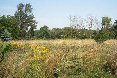 3998 East Whitaker Road Byron, IL 61010 - Photo 5 of 6 a view of lake with green space