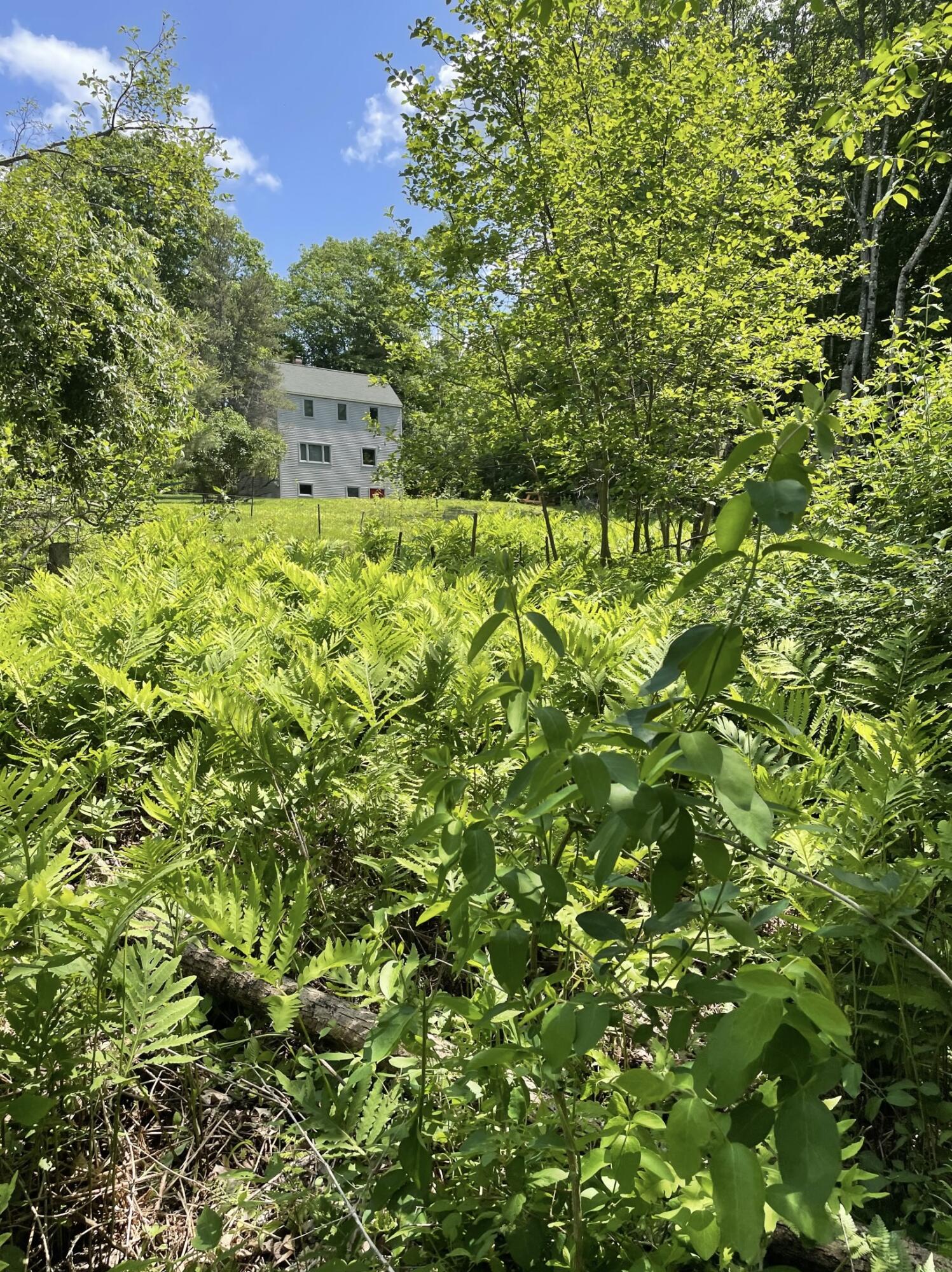 406 Pinnacle Road Canaan, ME 04924 - Photo 32 of 45 Another view