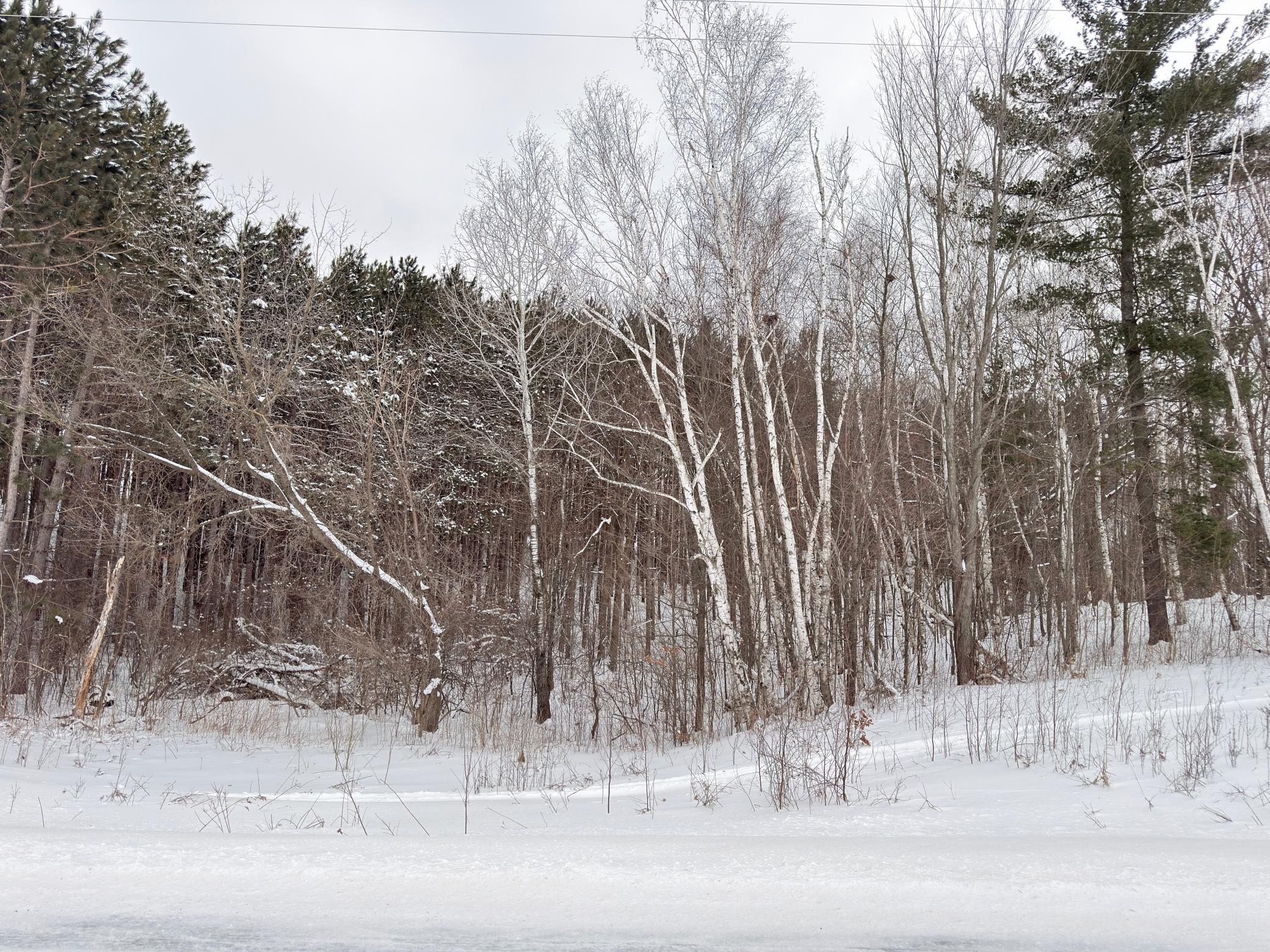 Tbd 150th Street Frederic, WI 54837 - Photo 4 of 4