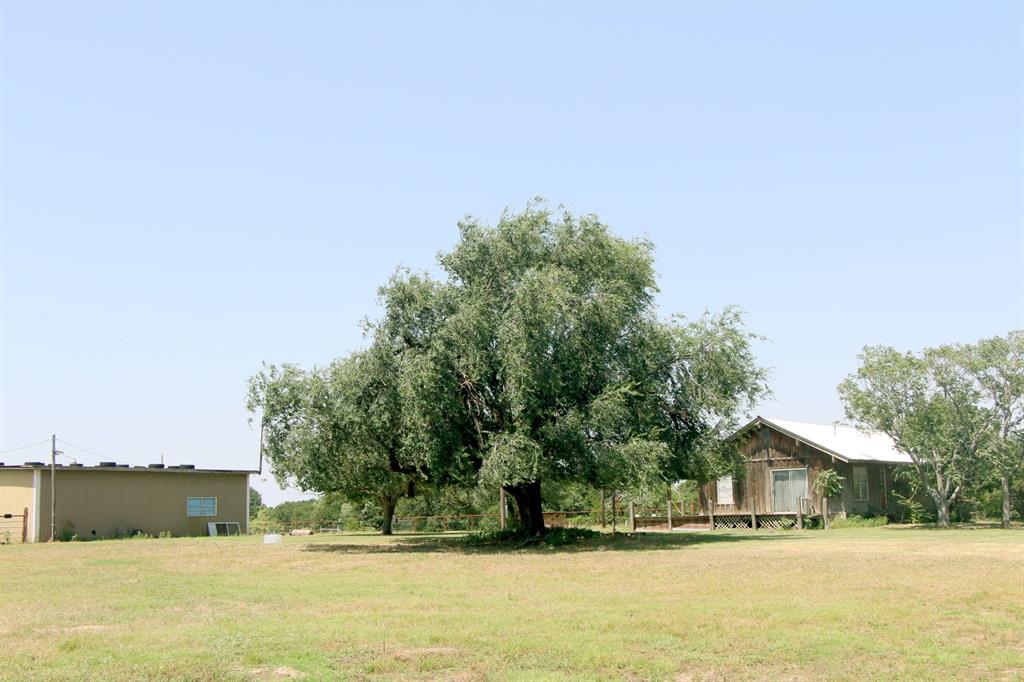 117 County Road 485 Ranger, TX 76470 - Photo 11 of 40