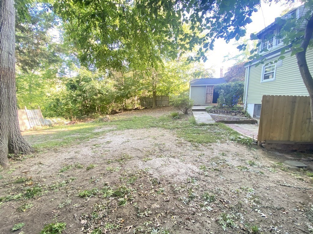 61 Arden Street Springfield, MA 01118 - Photo 4 of 19 a view of a yard with large tree
