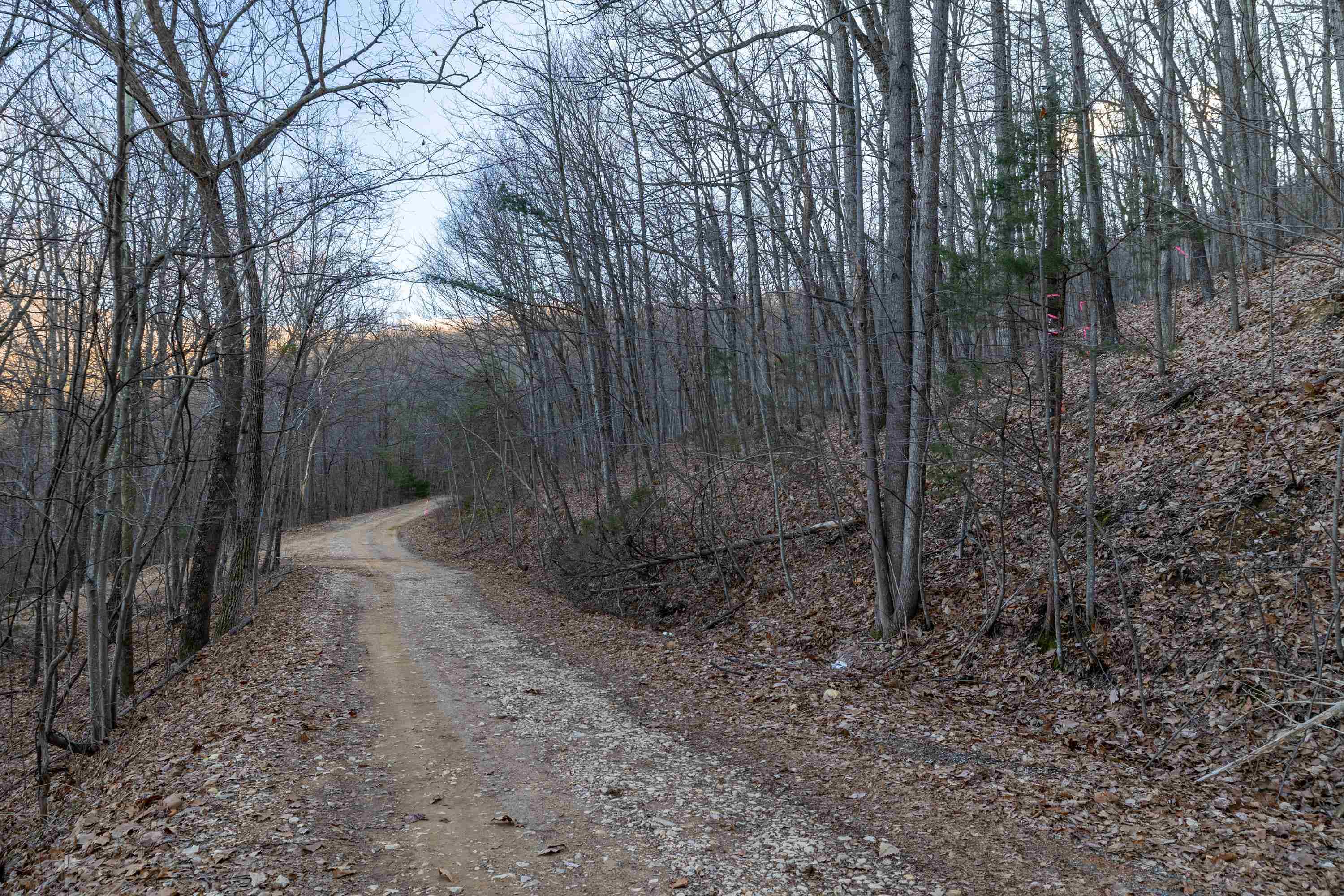 Off Sherri Road Stanley, VA 22851 - Photo 12 of 15 Gallery Image 12