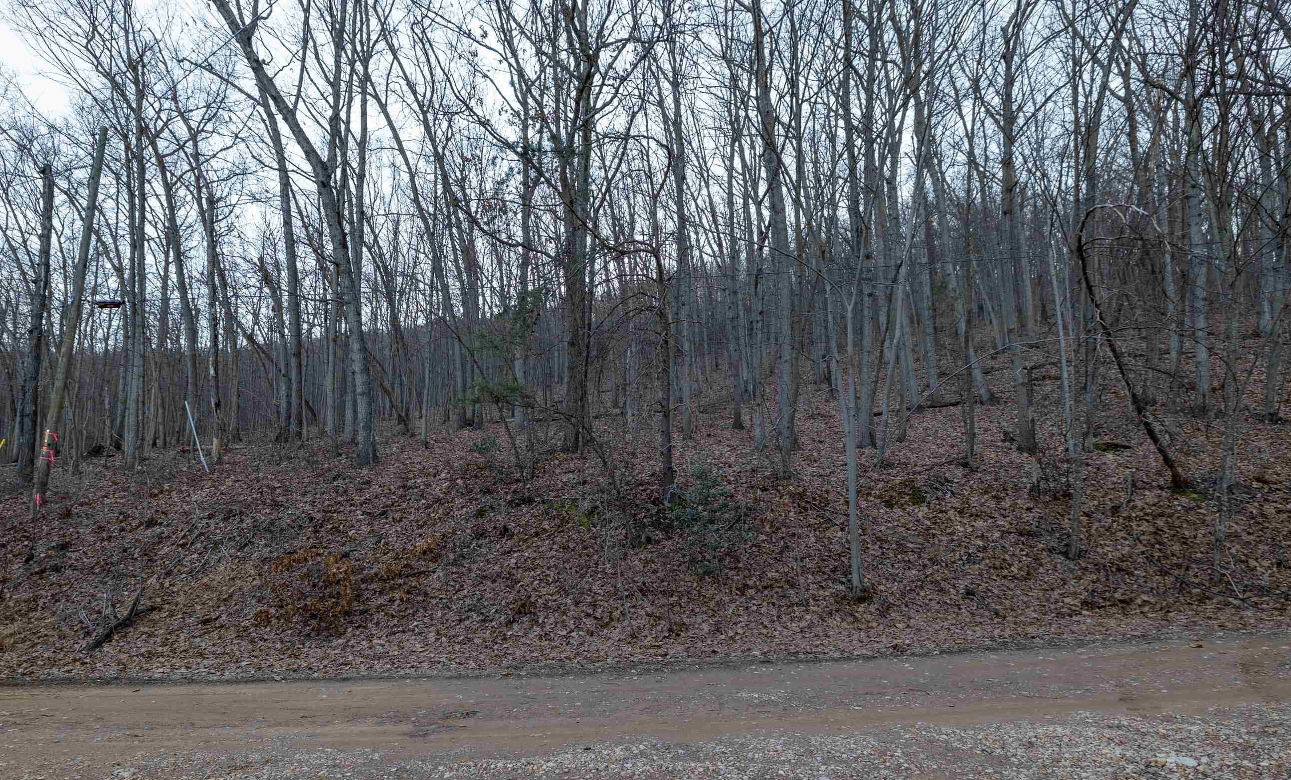 Off Sherri Road Stanley, VA 22851 - Photo 14 of 15 Gallery Image 14