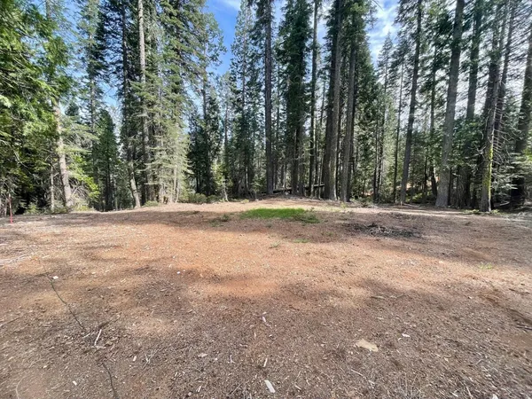 a view of outdoor space with trees