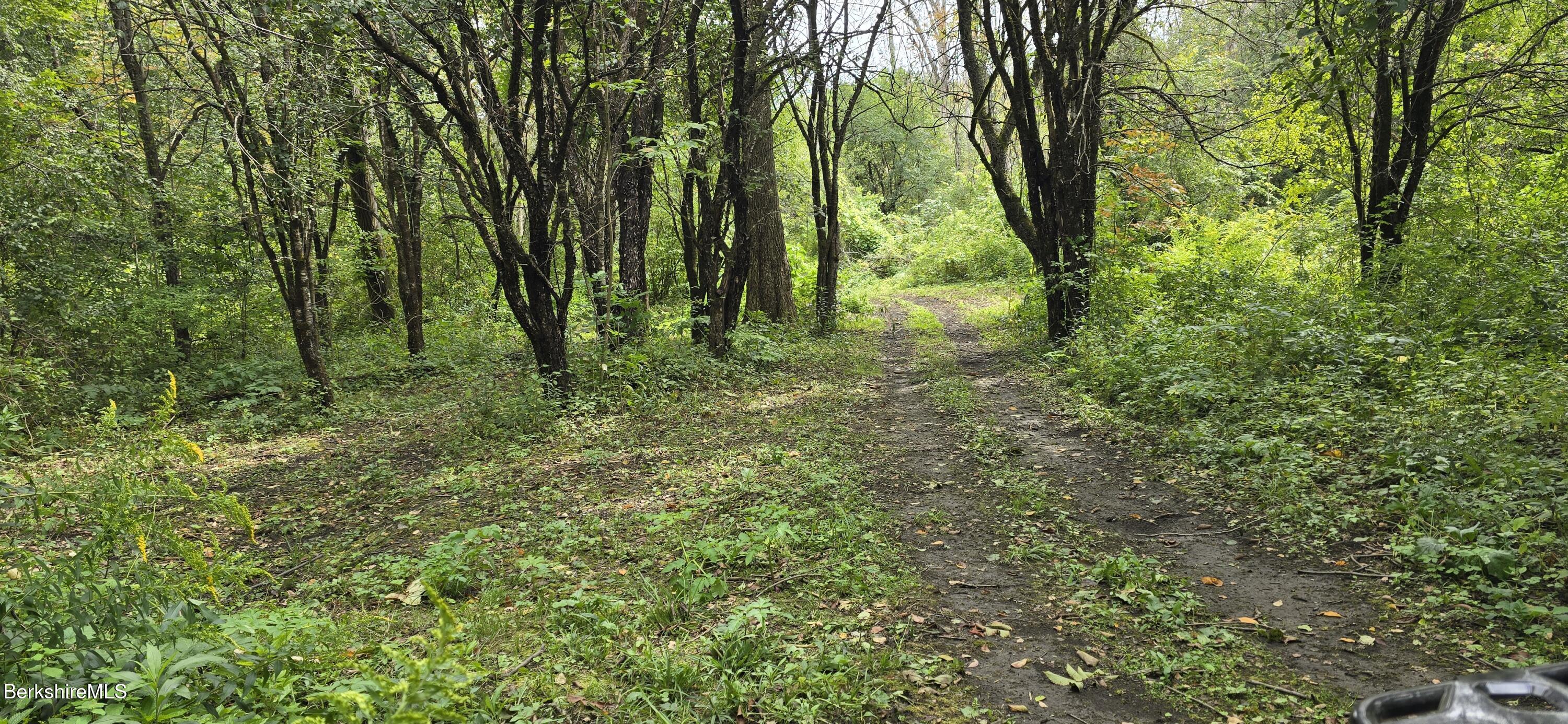 0 Miner Lots 2 & 3 Road Lanesborough, MA 01237 - Photo 11 of 28 a view of outdoor space and trees