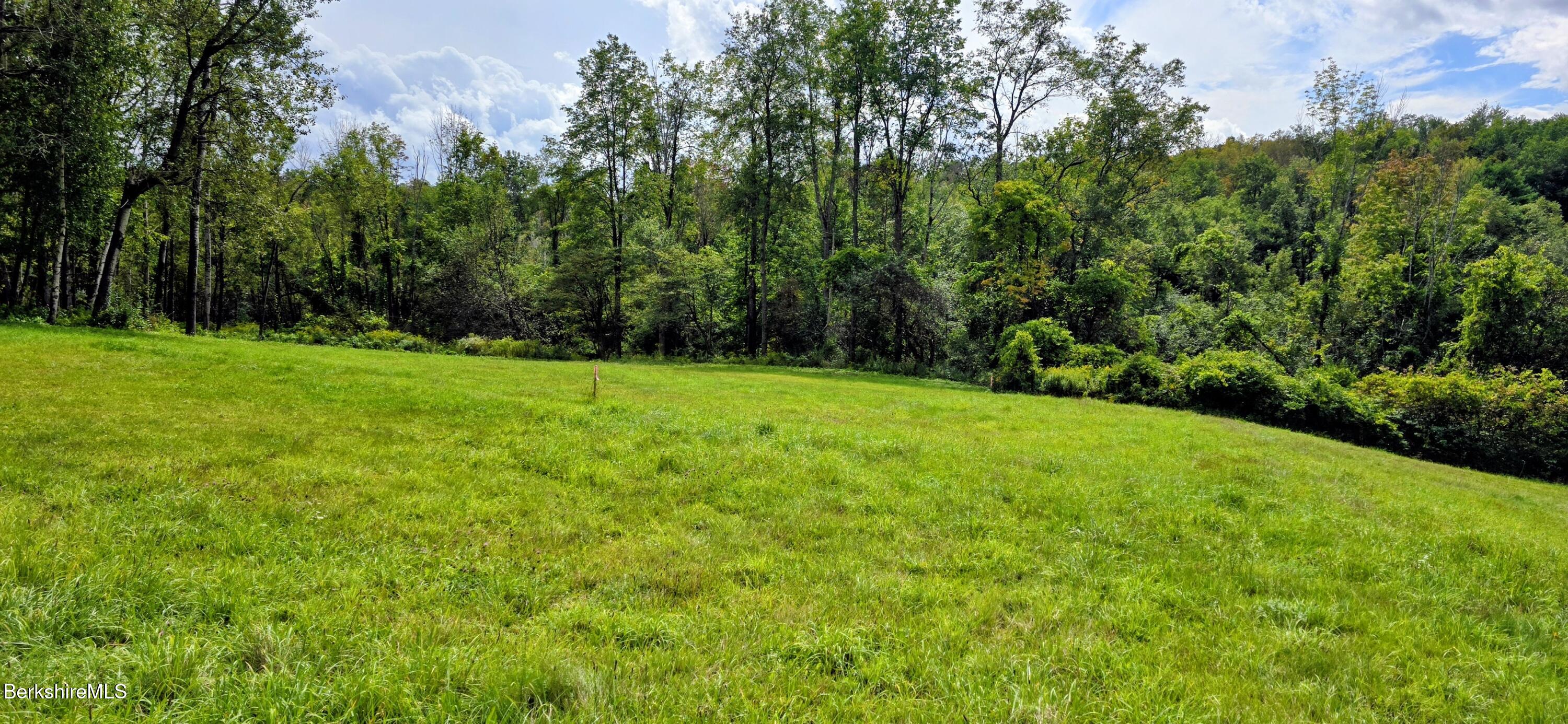 0 Miner Lots 2 & 3 Road Lanesborough, MA 01237 - Photo 13 of 28 a view of green field with trees in the background