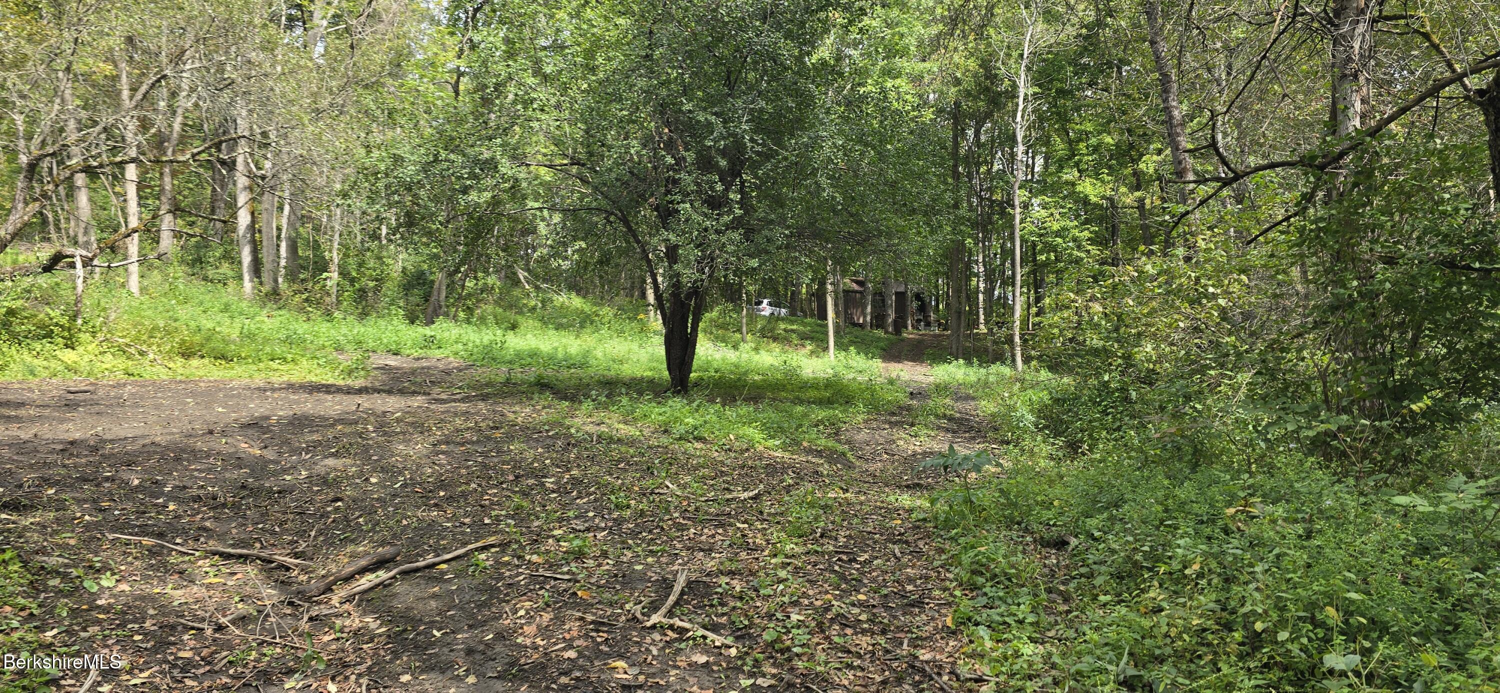 0 Miner Lots 2 & 3 Road Lanesborough, MA 01237 - Photo 17 of 28 a view of outdoor space and yard