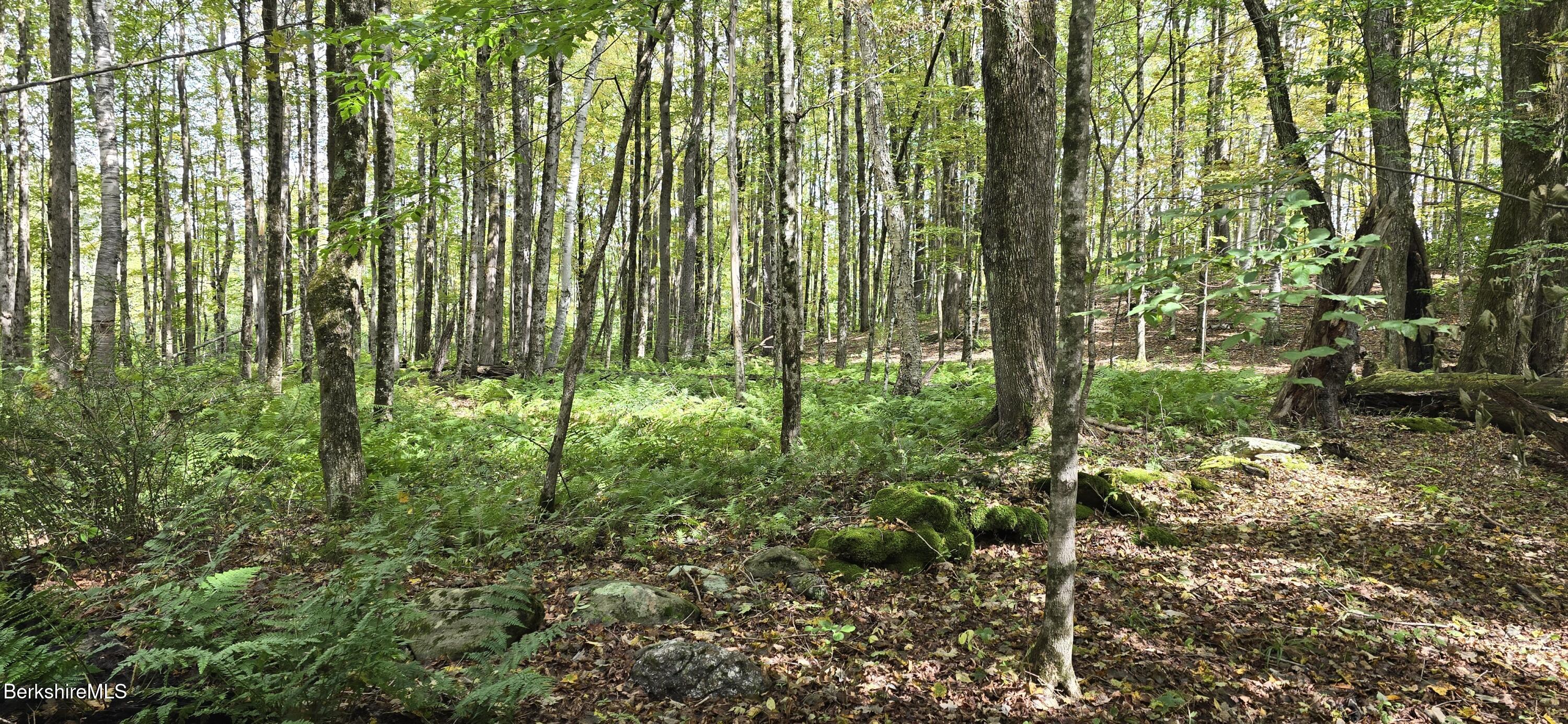0 Miner Lots 2 & 3 Road Lanesborough, MA 01237 - Photo 20 of 28 a view of outdoor space and garden