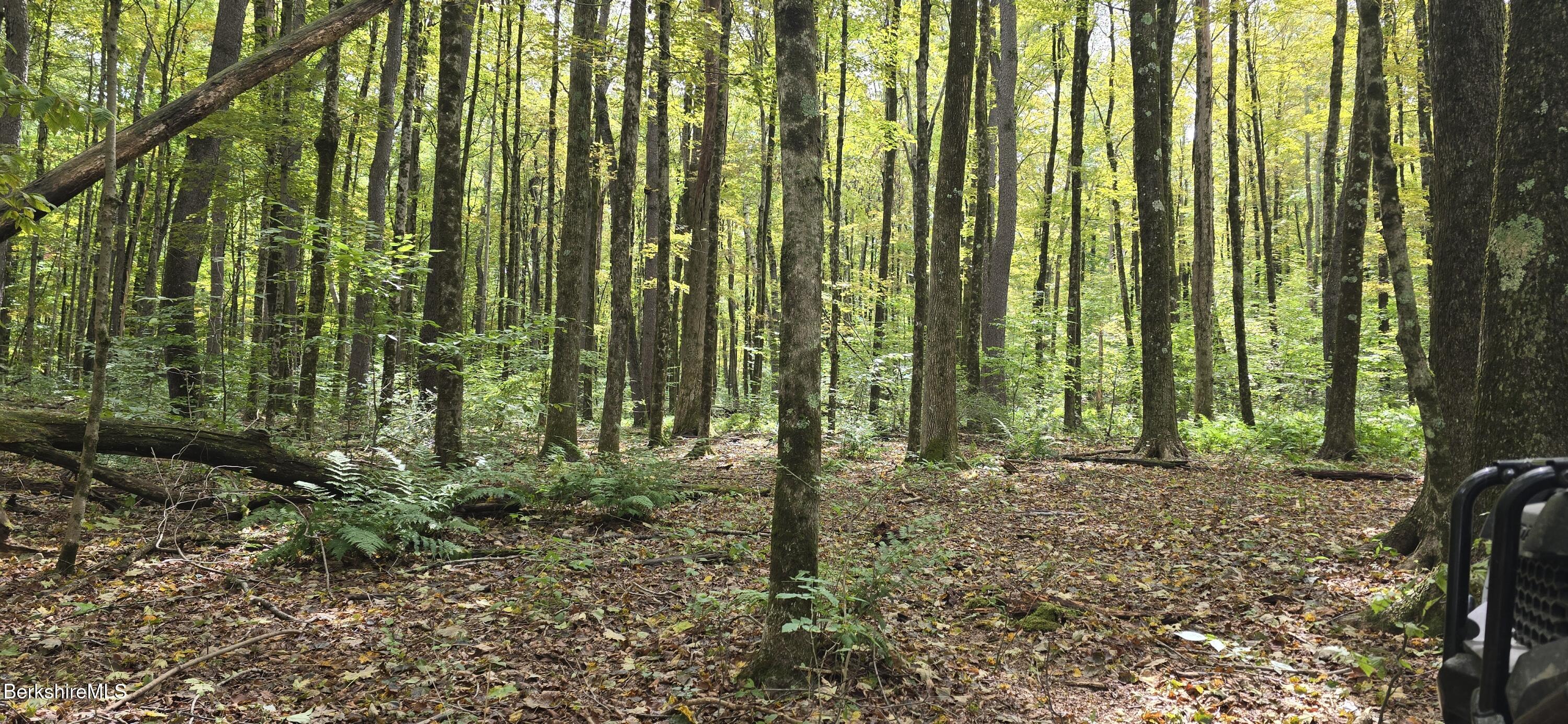 0 Miner Lots 2 & 3 Road Lanesborough, MA 01237 - Photo 22 of 28