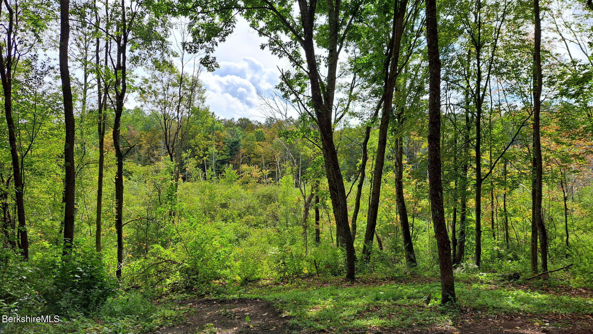 0 Miner Lots 2 & 3 Road Lanesborough, MA 01237 - Photo 23 of 28 a view of outdoor space and green space