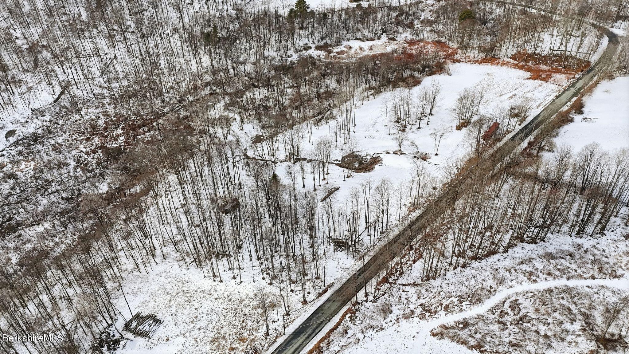 0 Miner Lots 2 & 3 Road Lanesborough, MA 01237 - Photo 27 of 28 a view of a forest with trees