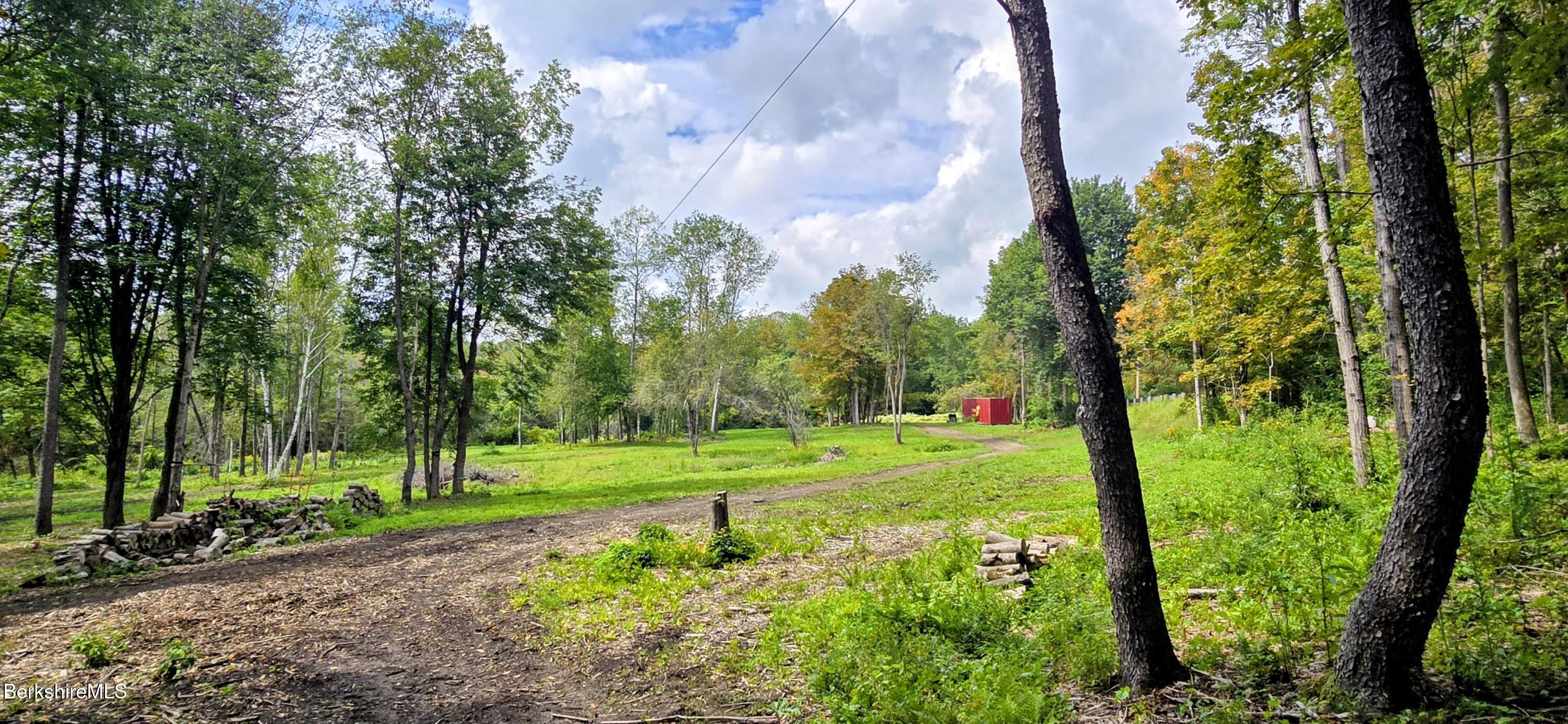 0 Miner Lots 2 & 3 Road Lanesborough, MA 01237 - Photo 3 of 28 a view of a field with a tree