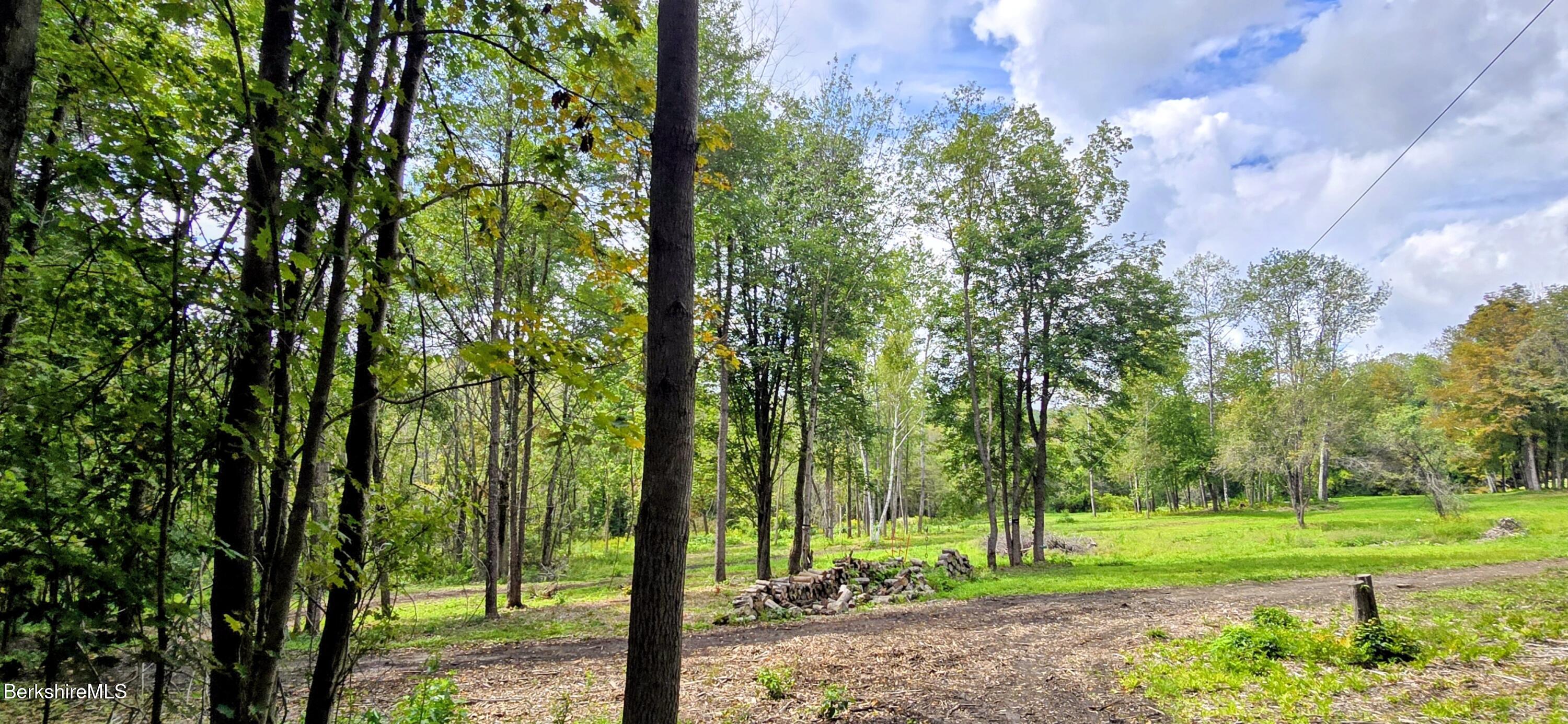 0 Miner Lots 2 & 3 Road Lanesborough, MA 01237 - Photo 5 of 28 a view of lush green forest