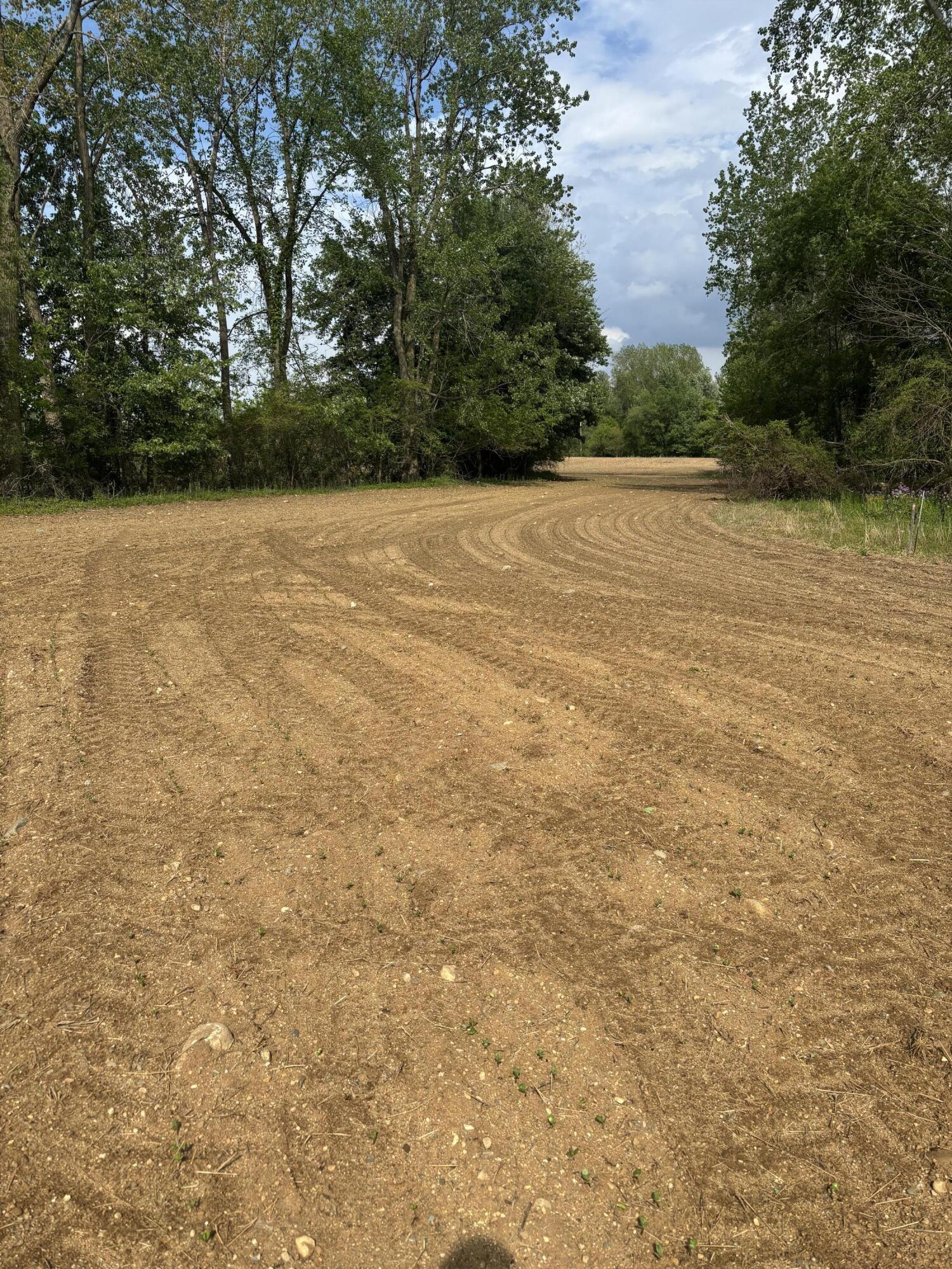 V/l Marshall Road Tekonsha, MI 49092 - Photo 8 of 15 IMG_0583
