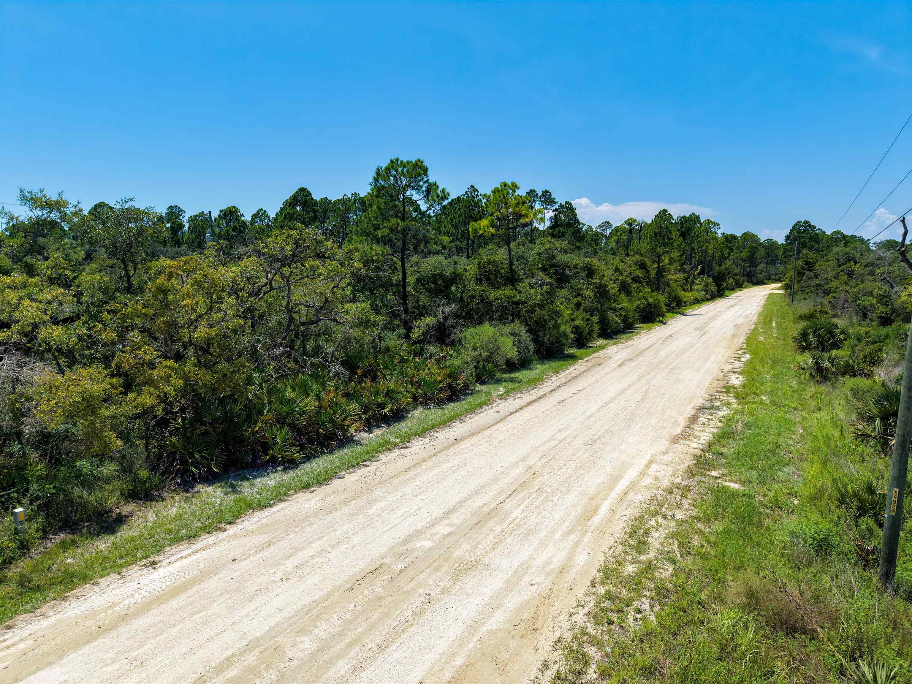3499 Yates Creek Road Perry, FL 32348 - Photo 7 of 12 Gallery Image 7