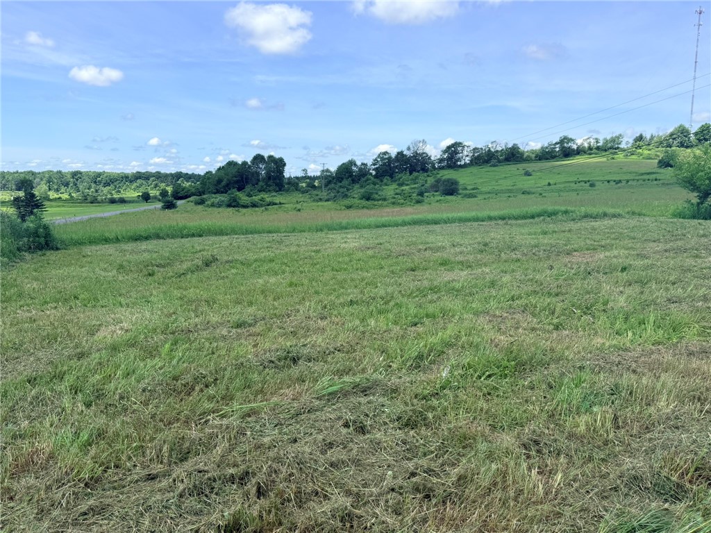 L17 North Pond Road Guilford, NY 13780 - Photo 2 of 19