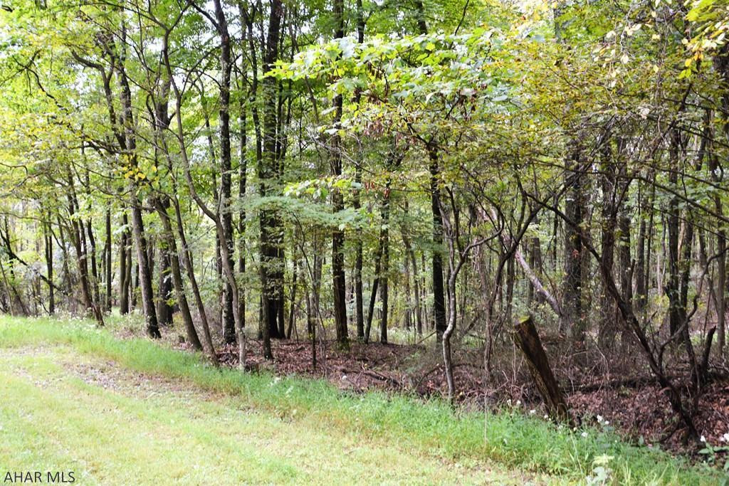 0 Pine Hill Road Artemas, PA 17211 - Photo 21 of 25