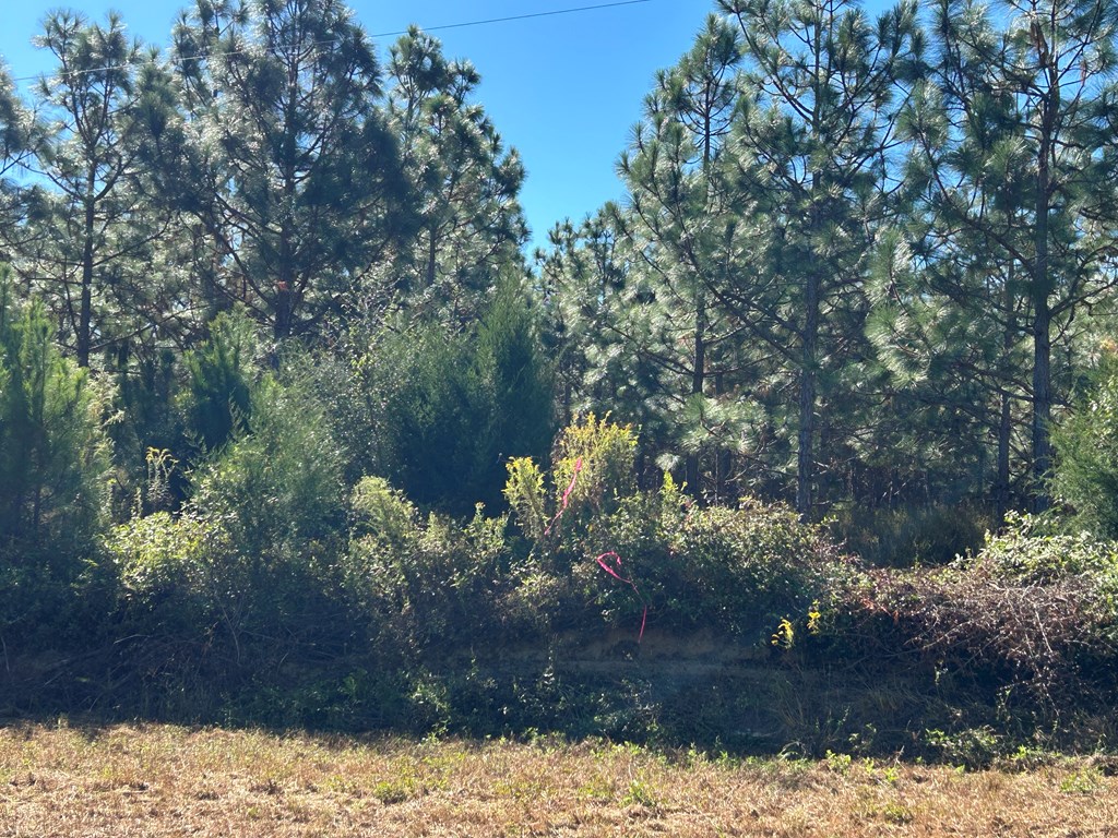 140/ Cty Road Headland, AL 36345 - Photo 7 of 33