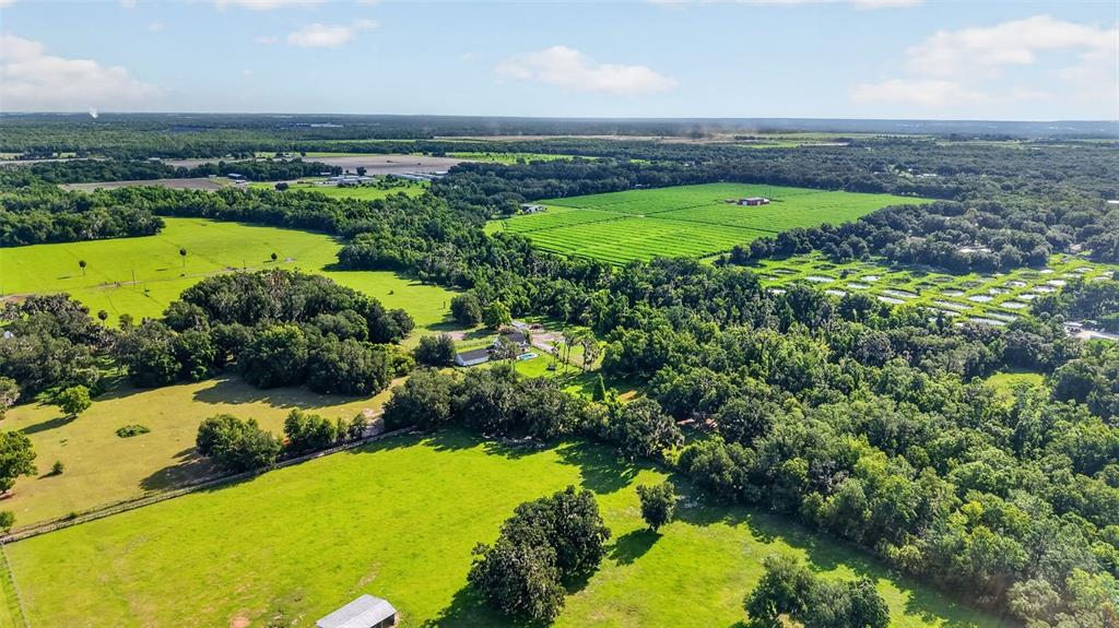 8922 Pritcher Road Lithia, FL 33547 - Photo 71 of 73