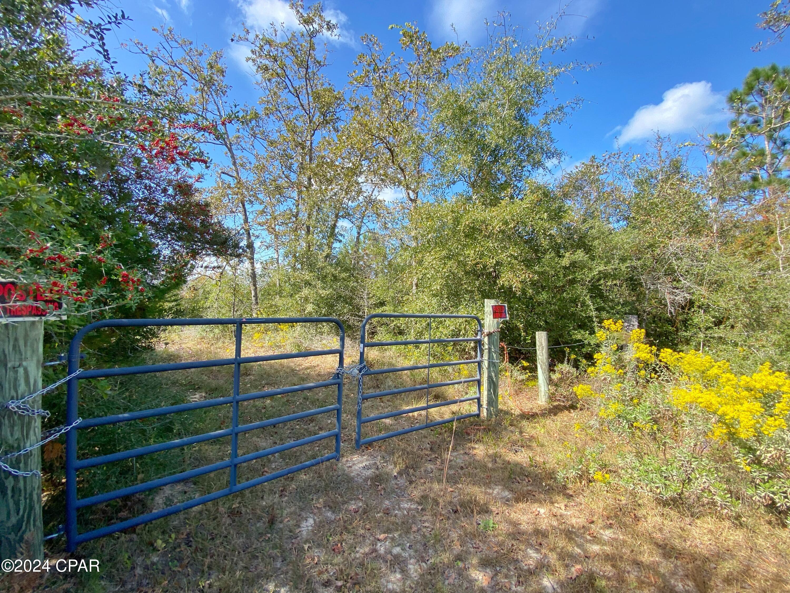 21332 Northwest Melvin New Grade Road Altha, FL 32421 - Photo 1 of 10