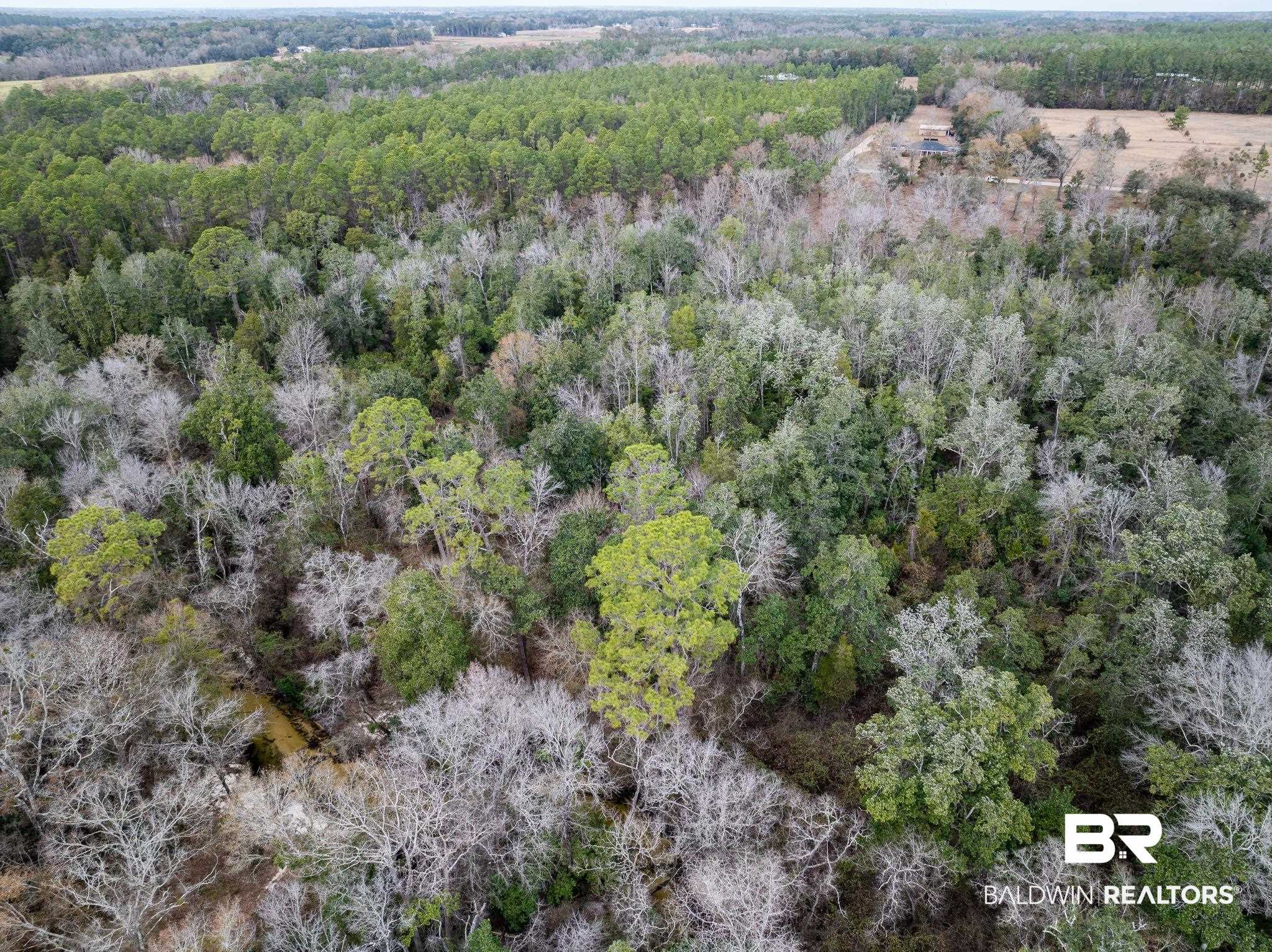 0 Holston Lane South Silverhill, AL 36576 - Photo 7 of 16