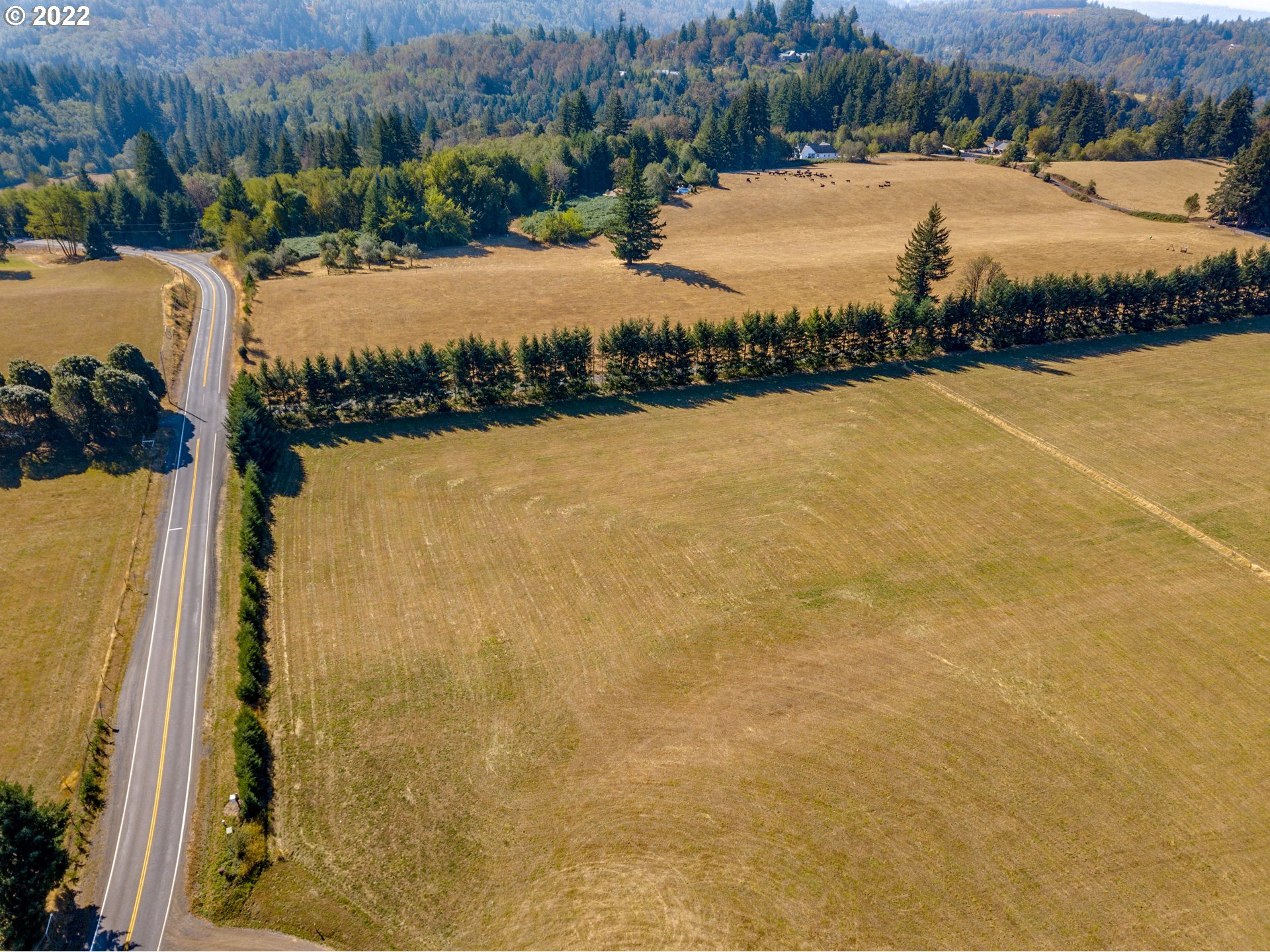 0 Salmon Falls Road Washougal, WA 98671 - Photo 3 of 18 Gallery Image 3