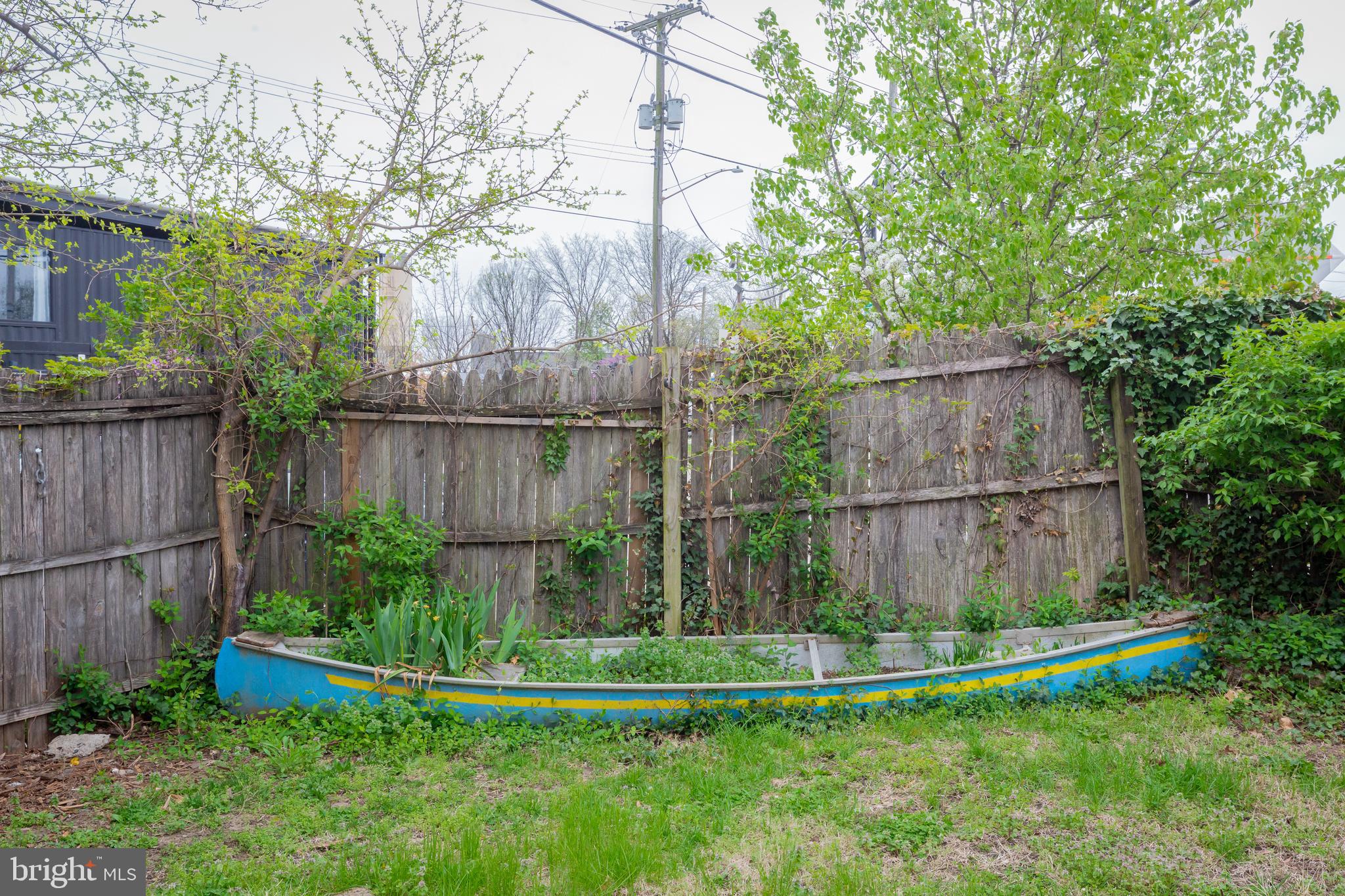 2129 Channing Street Northeast Washington, DC 20018 - Photo 31 of 37 a view of a backyard with plants and large trees