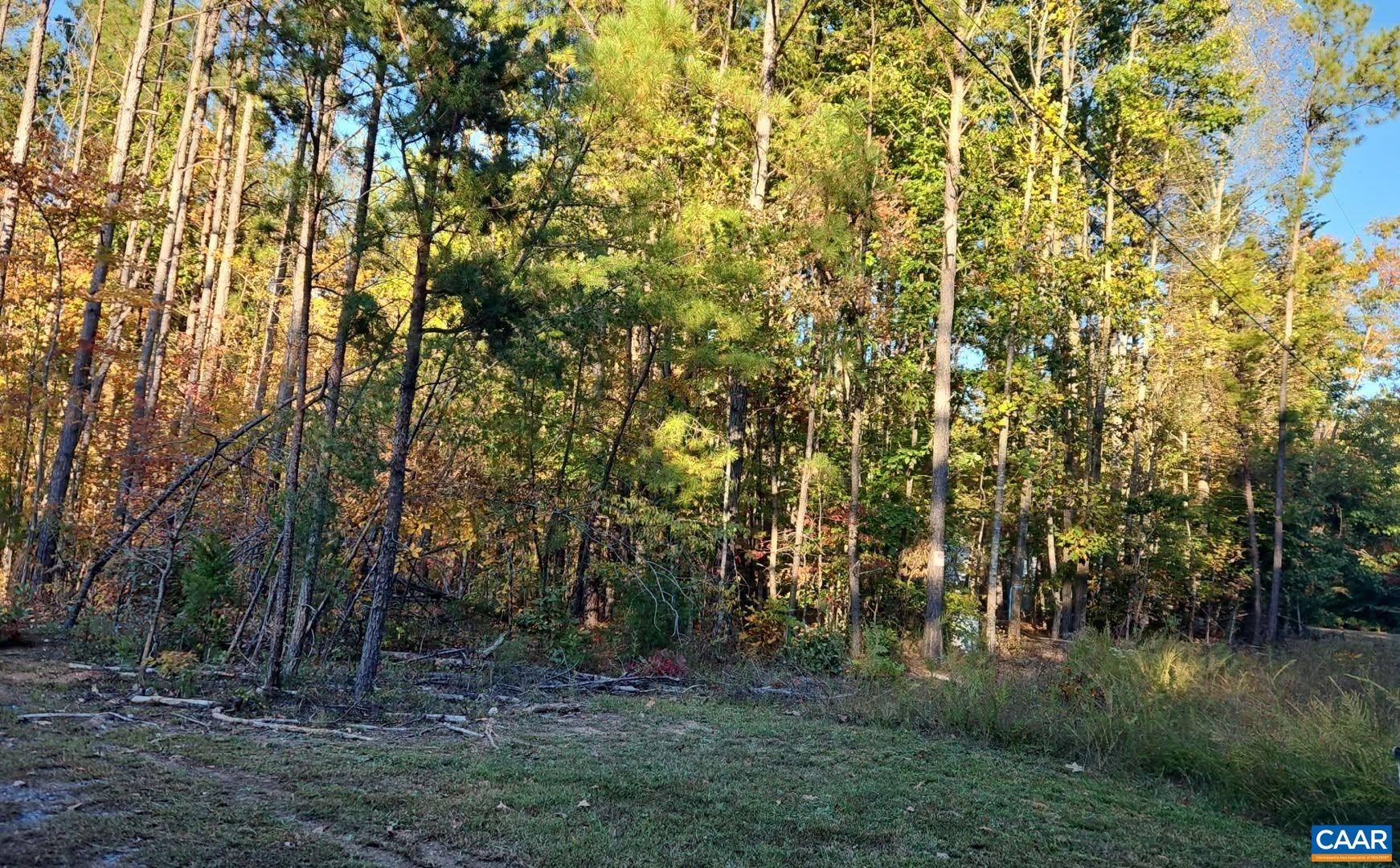 Tbd Penlan Road New Canton, VA 23123 - Photo 3 of 10 Gallery Image 3