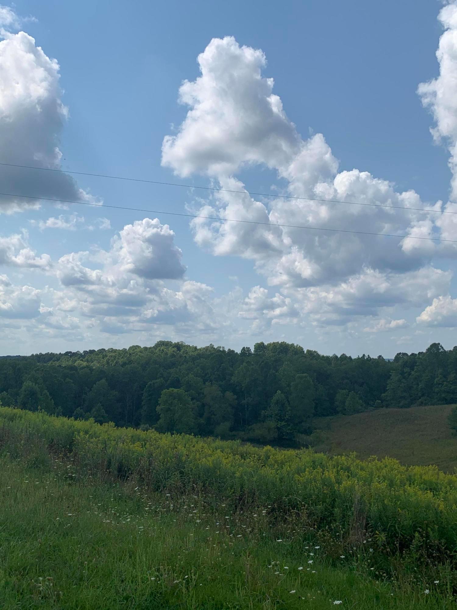 8915 Hoop Pole Road Roseville, OH 43777 - Photo 11 of 11