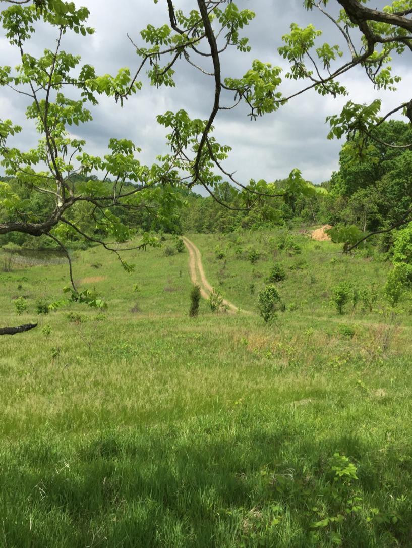 8915 Hoop Pole Road Roseville, OH 43777 - Photo 3 of 11