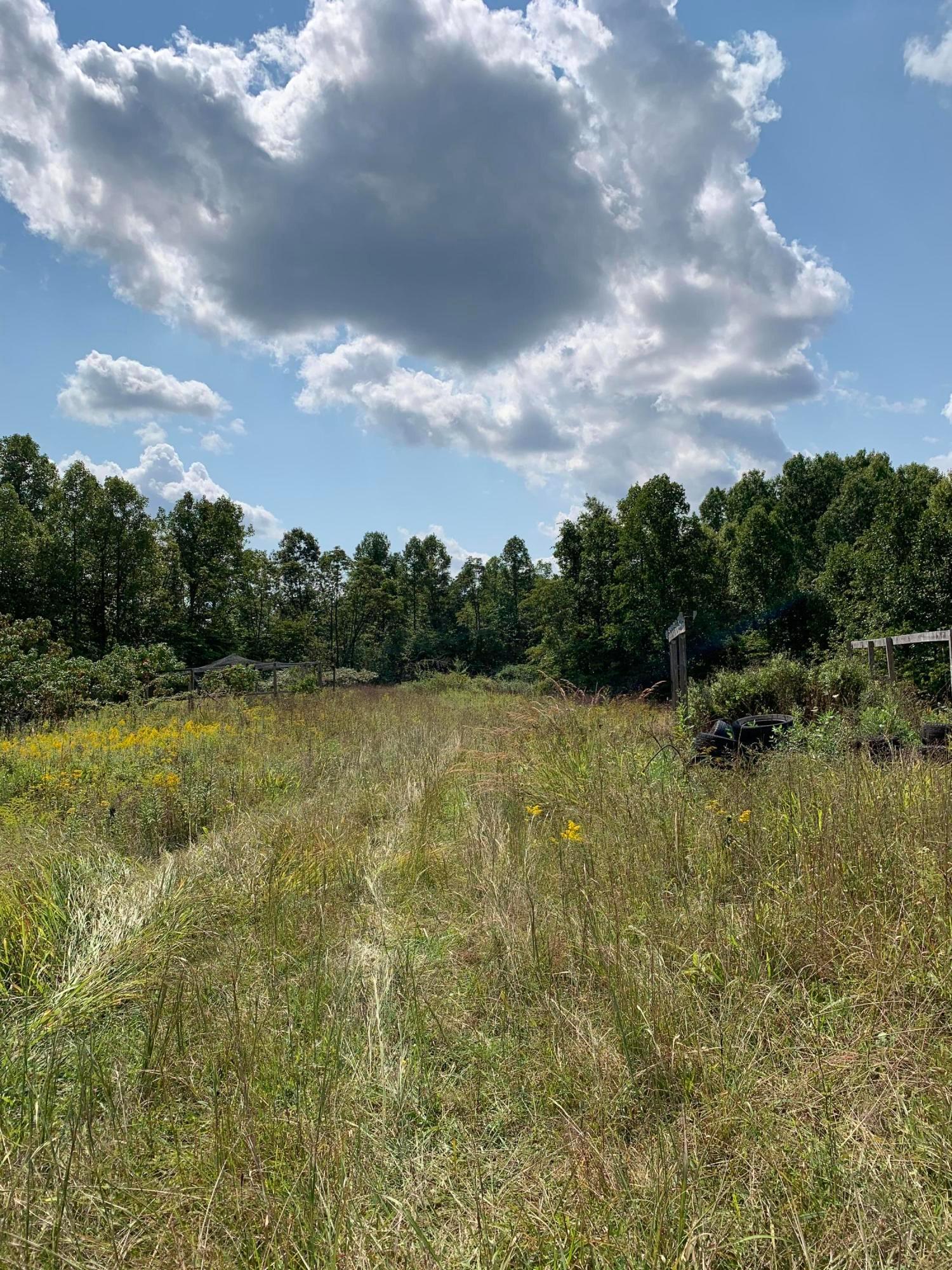 8915 Hoop Pole Road Roseville, OH 43777 - Photo 8 of 11