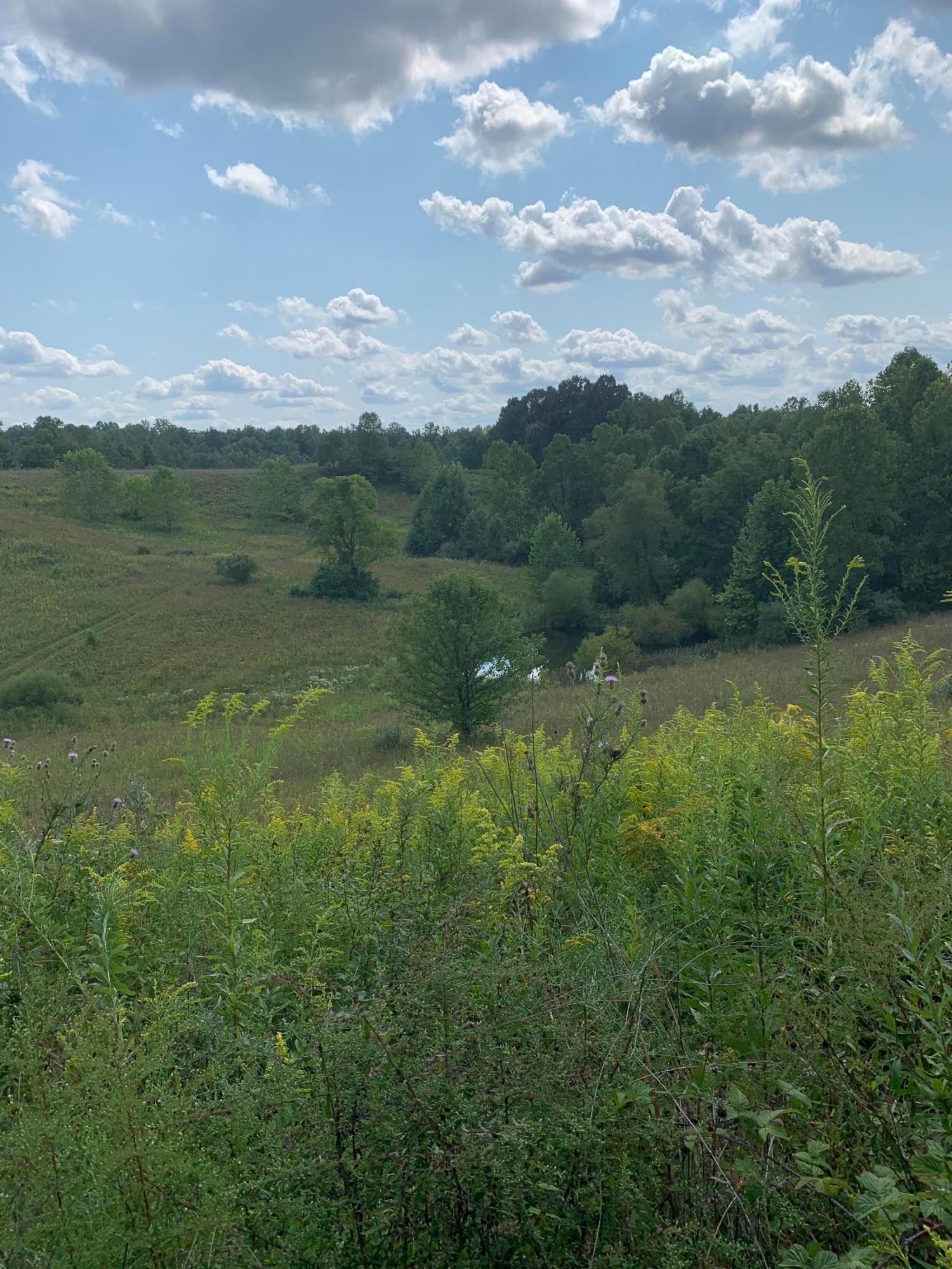 8915 Hoop Pole Road Roseville, OH 43777 - Photo 9 of 11