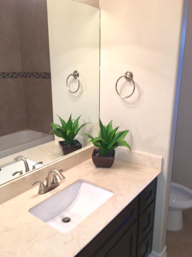 6303 Ramin Court Laredo, TX 78041 - Photo 13 of 20 a bathroom with a sink a mirror and a potted plant