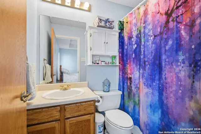 a bathroom with a sink a toilet a mirror and shower curtain