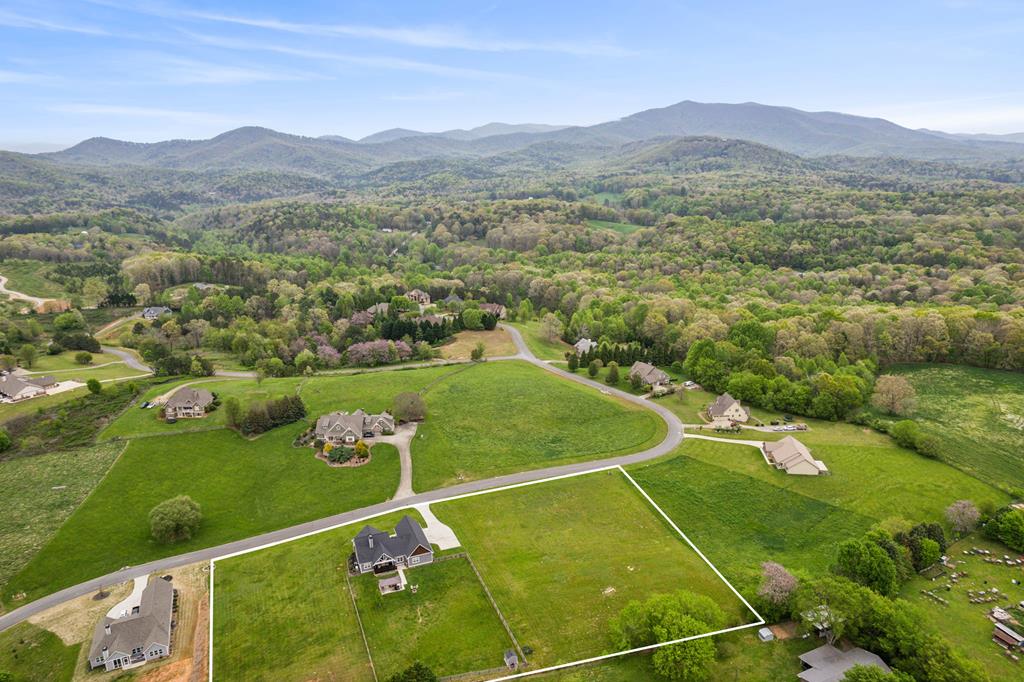 206 Ridgemont Drive Ellijay, GA 30536 - Photo 45 of 52