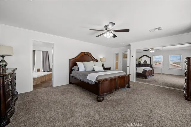 a bedroom with a bed and a walk in closet