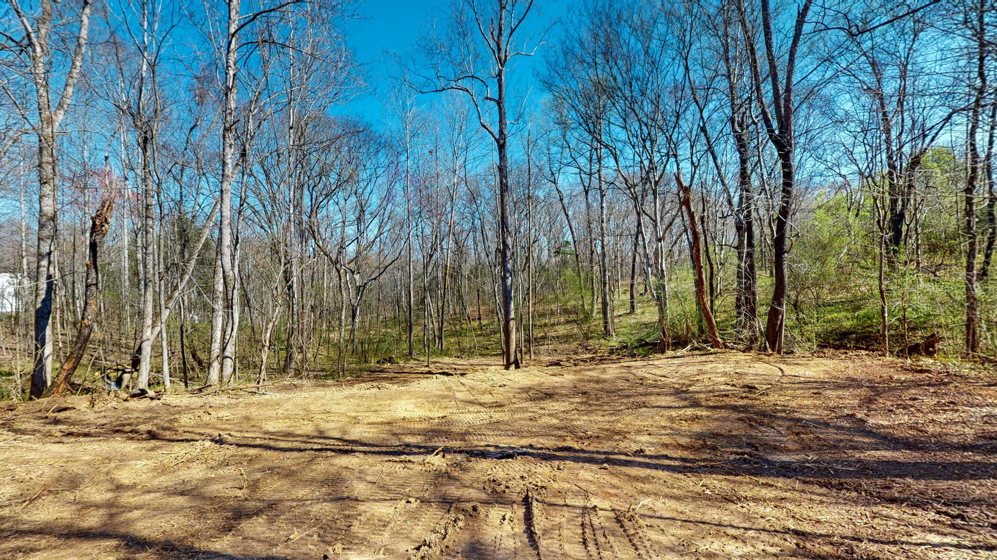 1461 Southside Road Southside, TN 37171 - Photo 2 of 28 a fire hydrant in the middle of a field