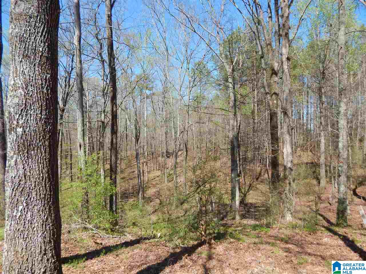 173 Tawbush Road Trafford, AL 35172 - Photo 37 of 50