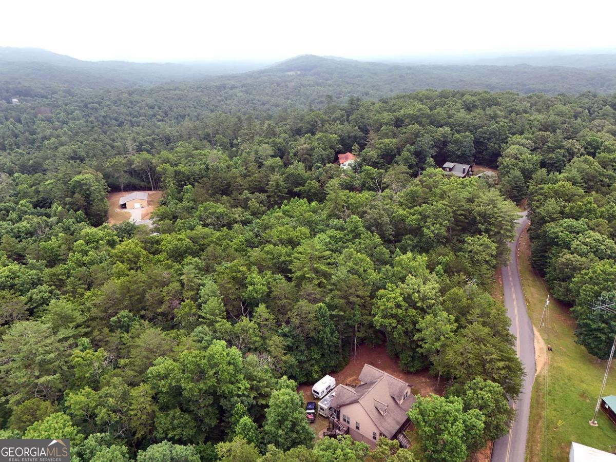 Lot 3 Cook Henry Road Blairsville, GA 30512 - Photo 16 of 18